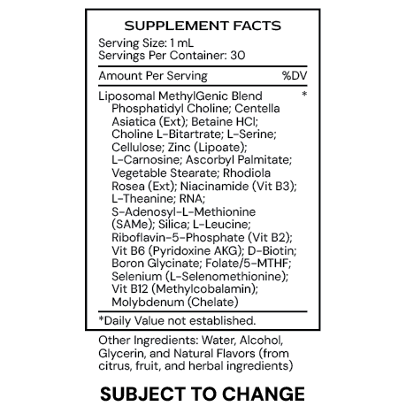 Liposomal MethylGenic