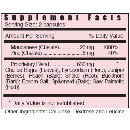 KDIR Fluidren - Shop Vibrant Life