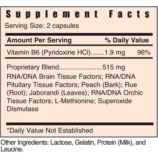Gb Pituitary / Pineal - Shop Vibrant Life