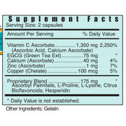 CZI - Shop Vibrant Life