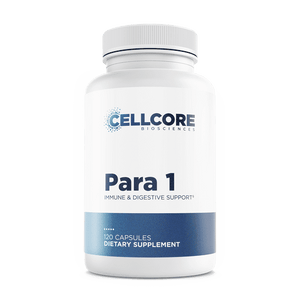 Para 1 (Mimosa Pudica) - Shop Vibrant Life