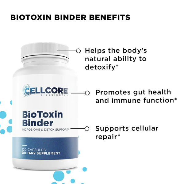 FOUNDATIONAL STEP 2: GUT & IMMUNE SUPPORT - Shop Vibrant Life