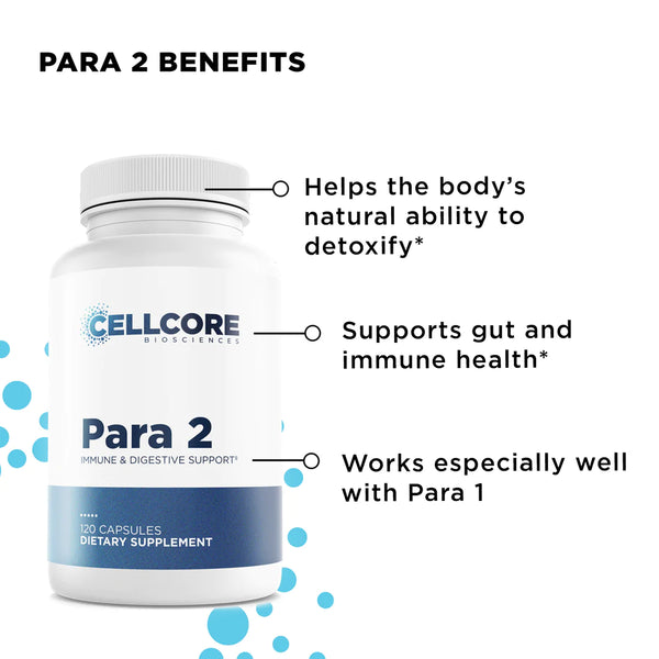 FOUNDATIONAL STEP 2: GUT & IMMUNE SUPPORT - Shop Vibrant Life