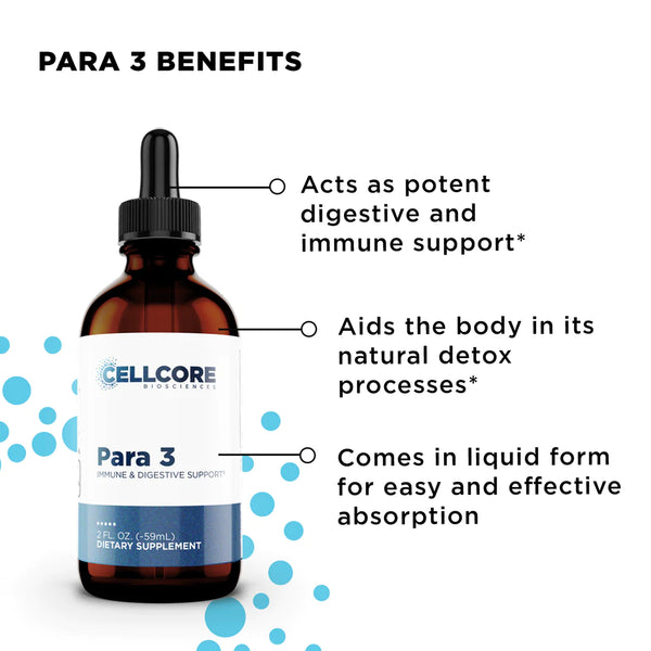 FOUNDATIONAL STEP 3: WHOLE BODY IMMUNE SUPPORT - Shop Vibrant Life