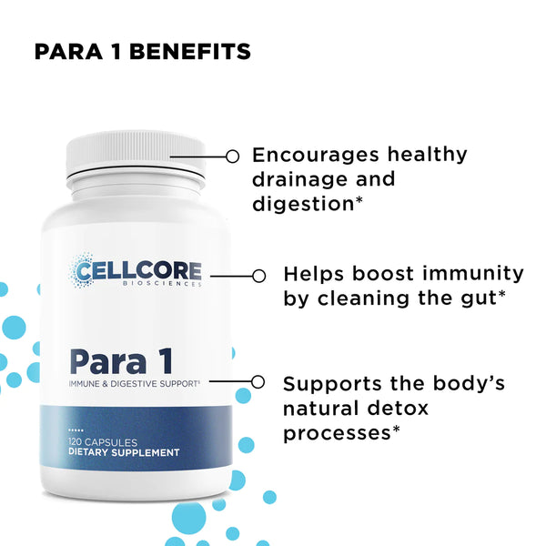 FOUNDATIONAL STEP 3: WHOLE BODY IMMUNE SUPPORT - Shop Vibrant Life