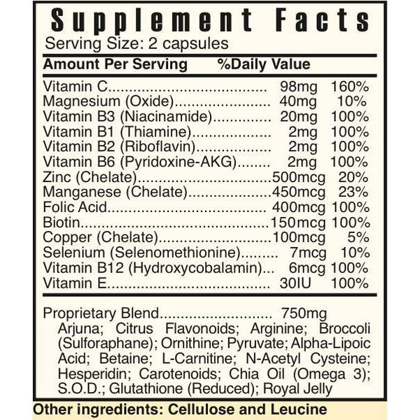 EPIC - Shop Vibrant Life