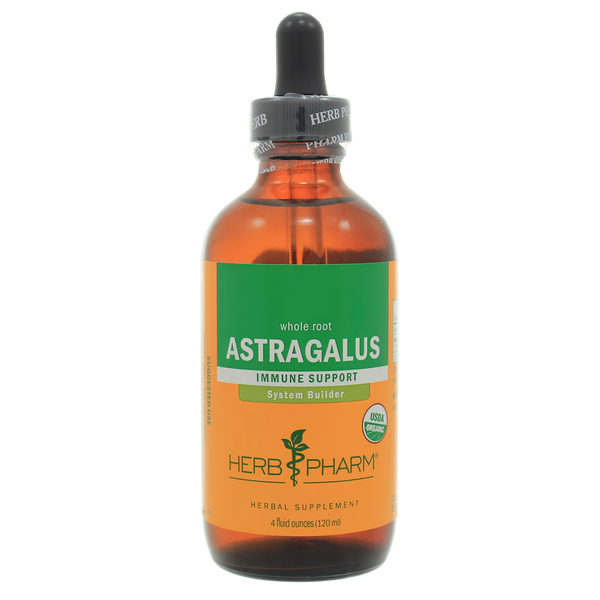 Astragalus