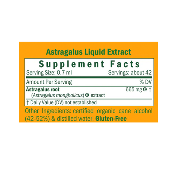 Astragalus