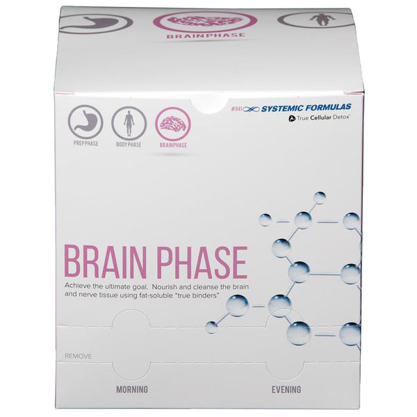Brain Phase